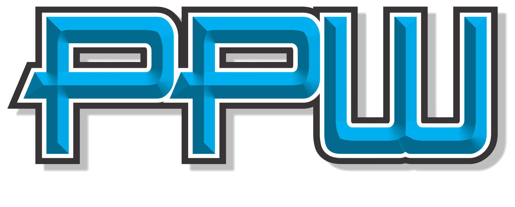 Professional Pressure Wash Logo